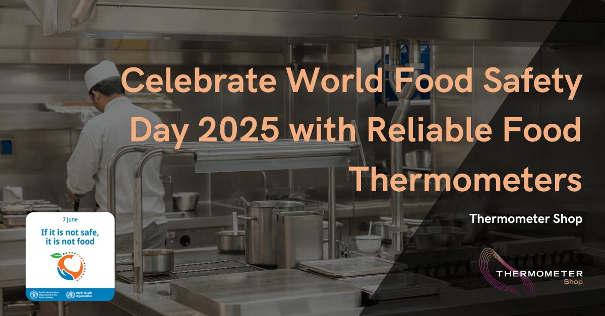 Celebrate World Food Safety Day 2025 with Reliable Food Thermometers