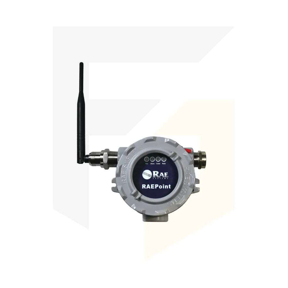 RAE Systems RAEPoint RRA2000 ATEX PID